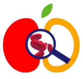 신성빈혈연구회